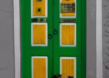 ABRA Hotel za Pse: Recenzije klijenata i osnovne informacije 2024