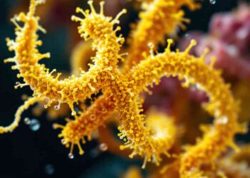 Iskustva sa ešerihijom koli: Istinita i iskrena iskustva iz prve ruke