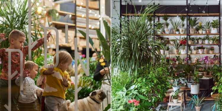 ĐARDIN RECENZIJE: SVE ŠTO TREBA ZNATI O OVOJ INOVATIVNOJ PLATFORMI