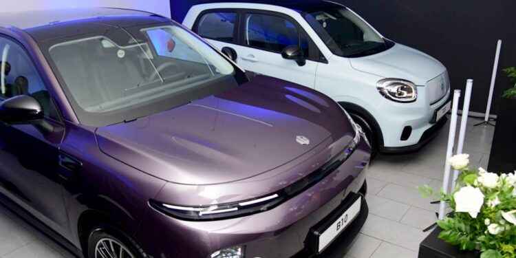 ELY CARS RECENZIJE: SVE ŠTO TREBATE ZNATI O OVOJ INOVATIVNOJ MARKI