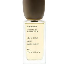 Celadon Zara za muškarce: Detaljna recenzija, note i slični parfemi 2025