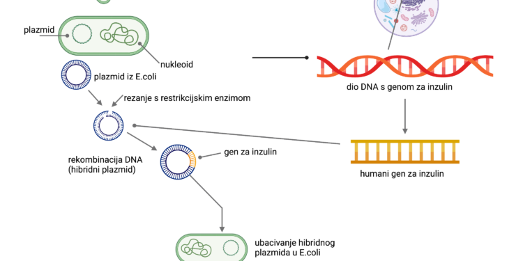 Primjena biomimicry pristupa u razvoju održivih tehnologija