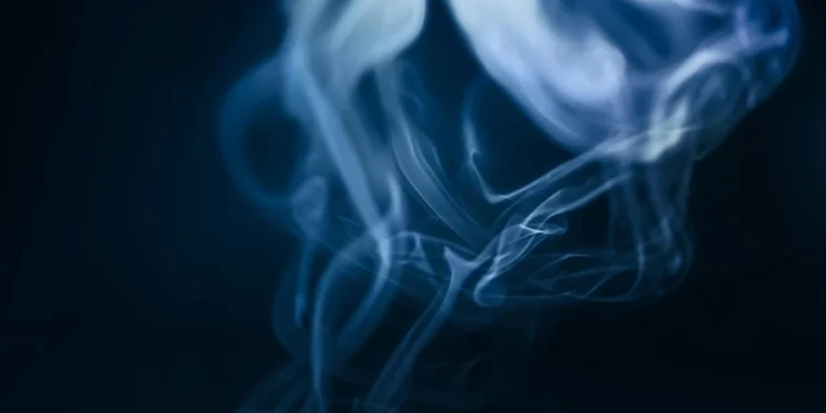 static photos 1772442142