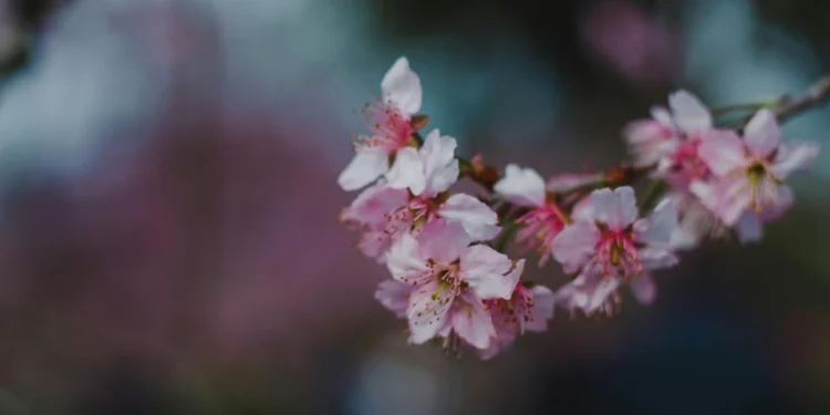 static photos 1772553987