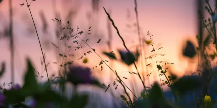 static photos 1772588117