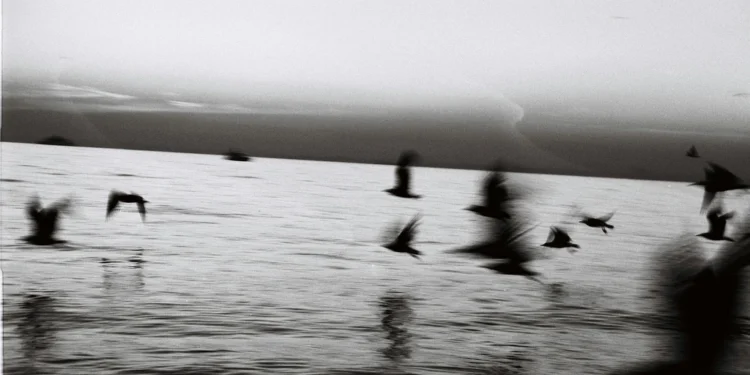 static photos 1774208533