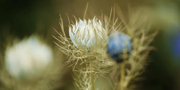 static photos 1774220306