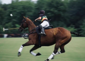 static photos 1774276768