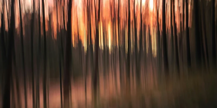 static photos 1774283061