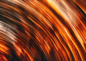 static photos 1774307364